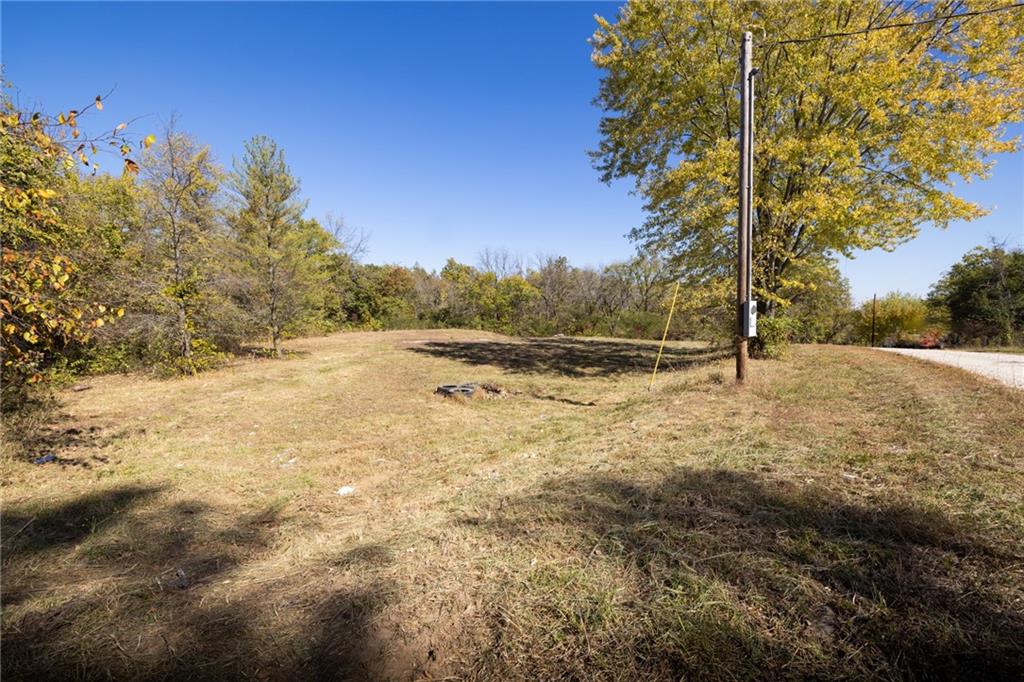 Listing Photo MLS #HMS2517560