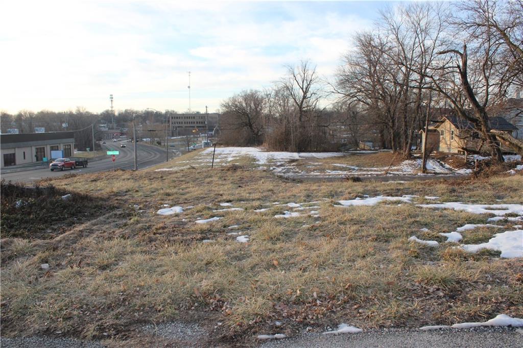 Listing Photo MLS #HMS2527753