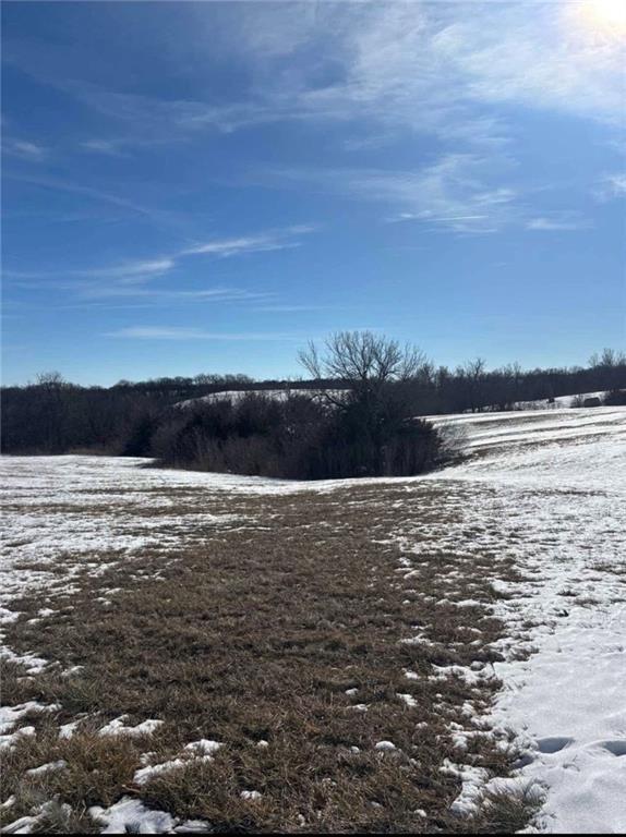 Listing Photo MLS #HMS2528183