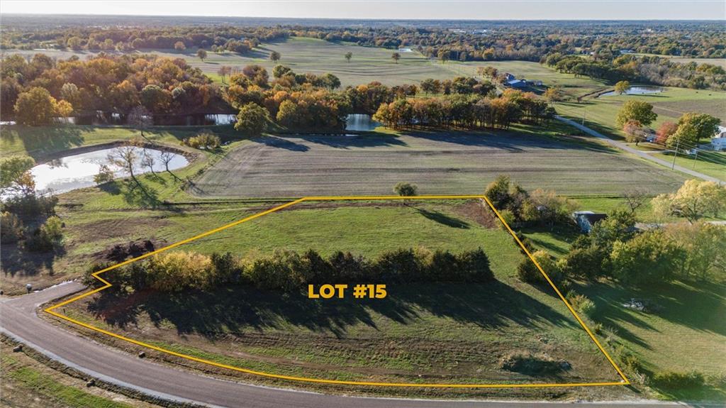 Listing Photo MLS #HMS2530525