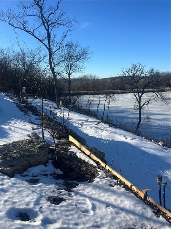 Listing Photo MLS #HMS2531161