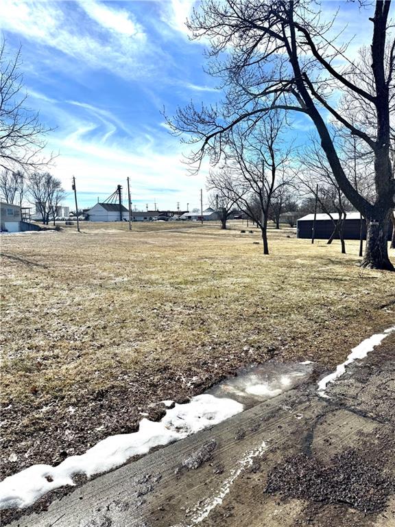 Listing Photo MLS #HMS2532114
