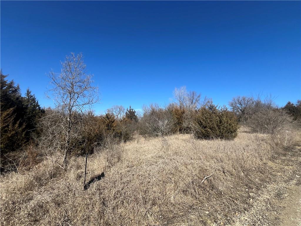 Listing Photo MLS #HMS2532673