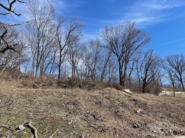 Listing Photo MLS #HMS2534182