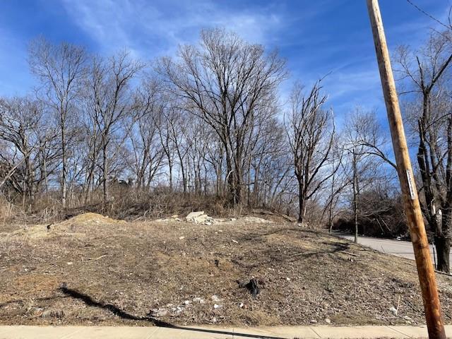 Listing Photo MLS #HMS2534183