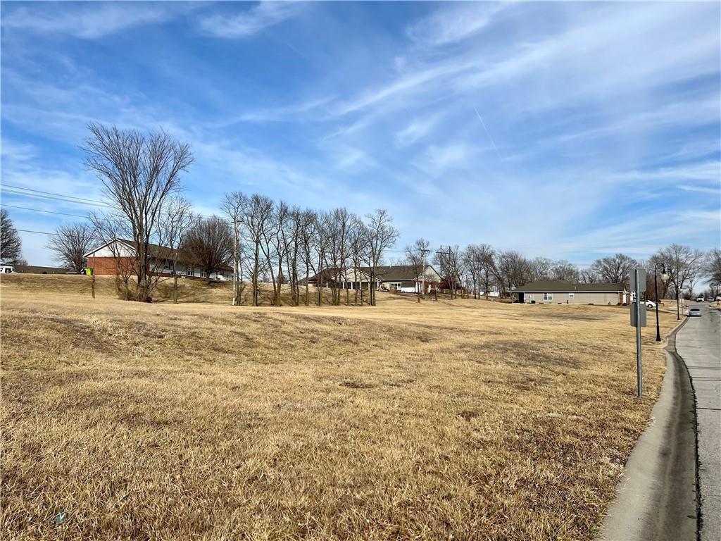 Listing Photo MLS #HMS2536027