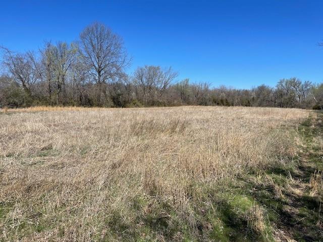 Listing Photo MLS #HMS2537204