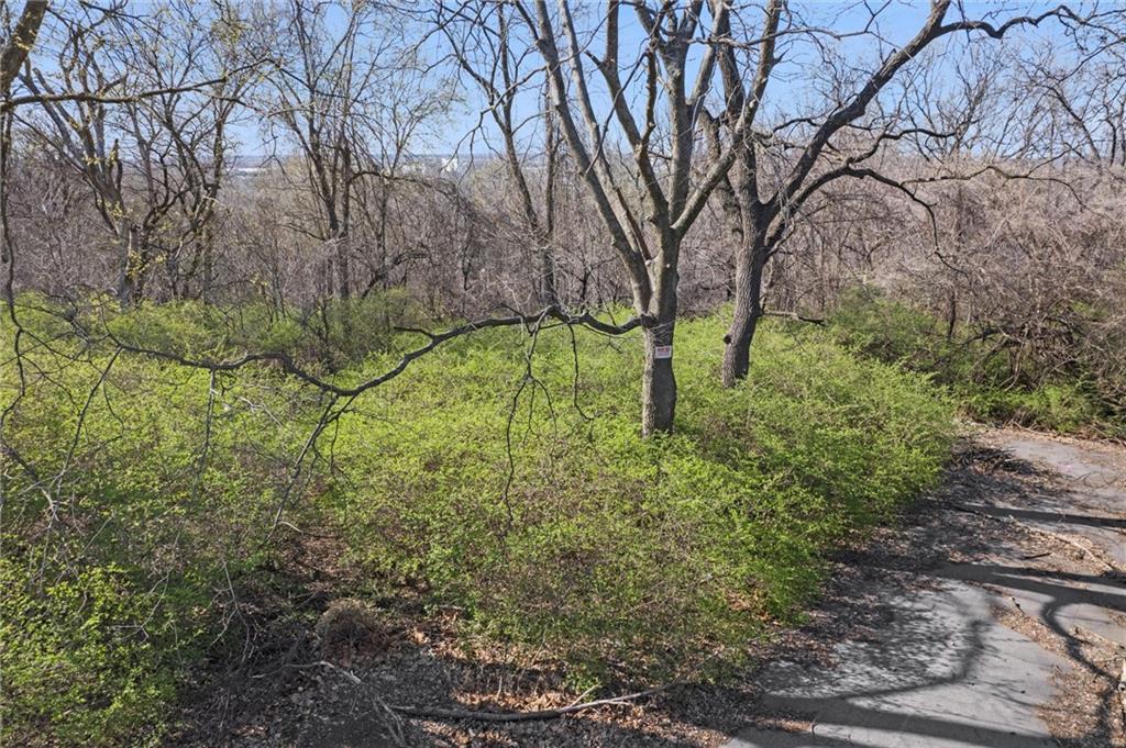 Listing Photo MLS #HMS2537787