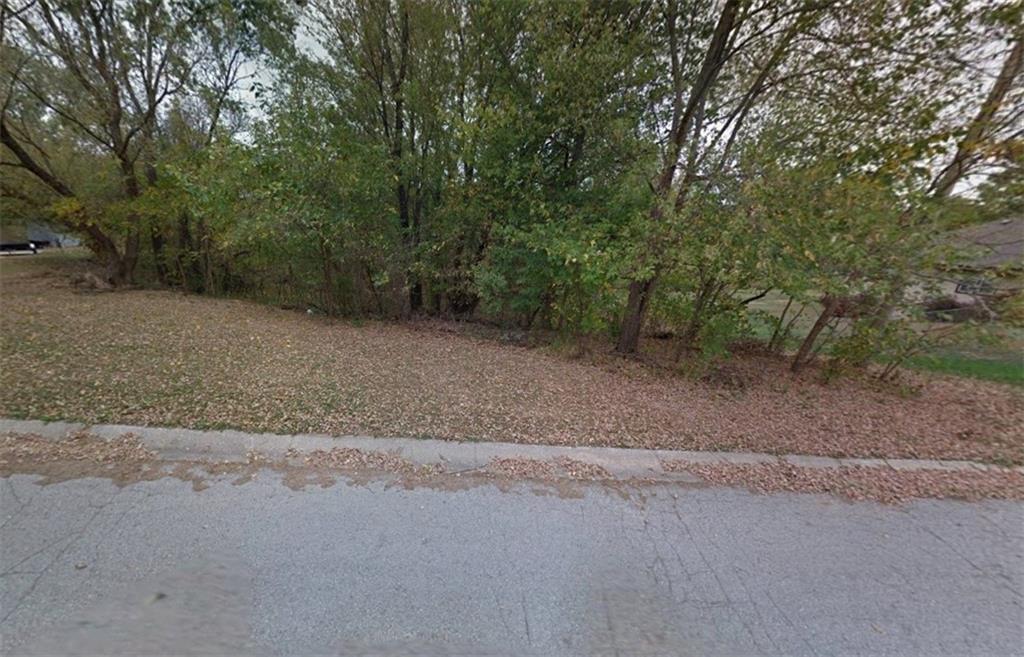 Listing Photo MLS #HMS2538504