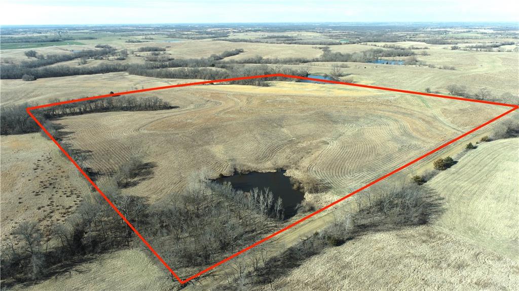 Listing Photo MLS #HMS2539214