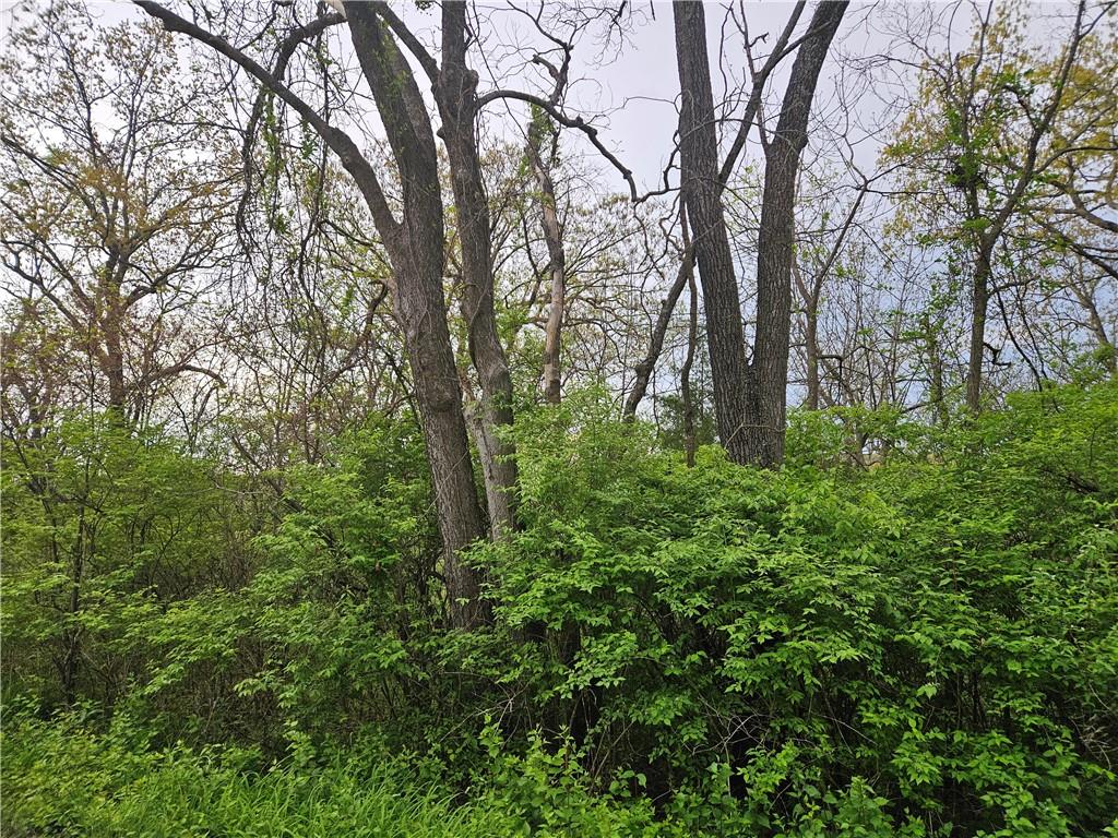 Listing Photo MLS #HMS2545430