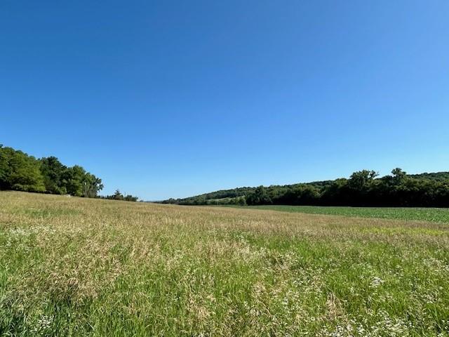 Listing Photo MLS #HMS2545487