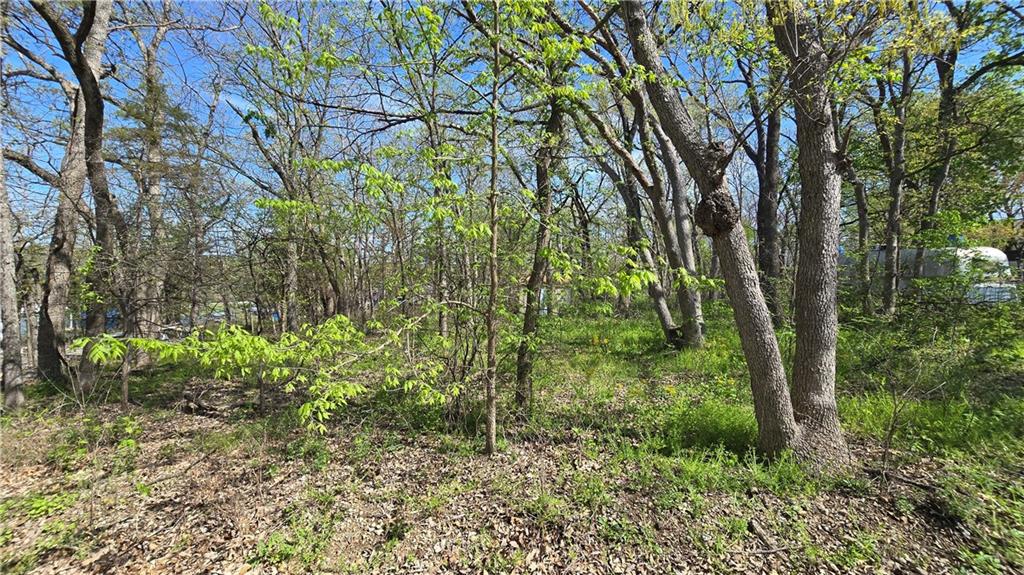 Listing Photo MLS #HMS2545577