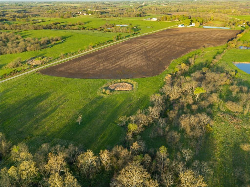 Listing Photo MLS #HMS2545617