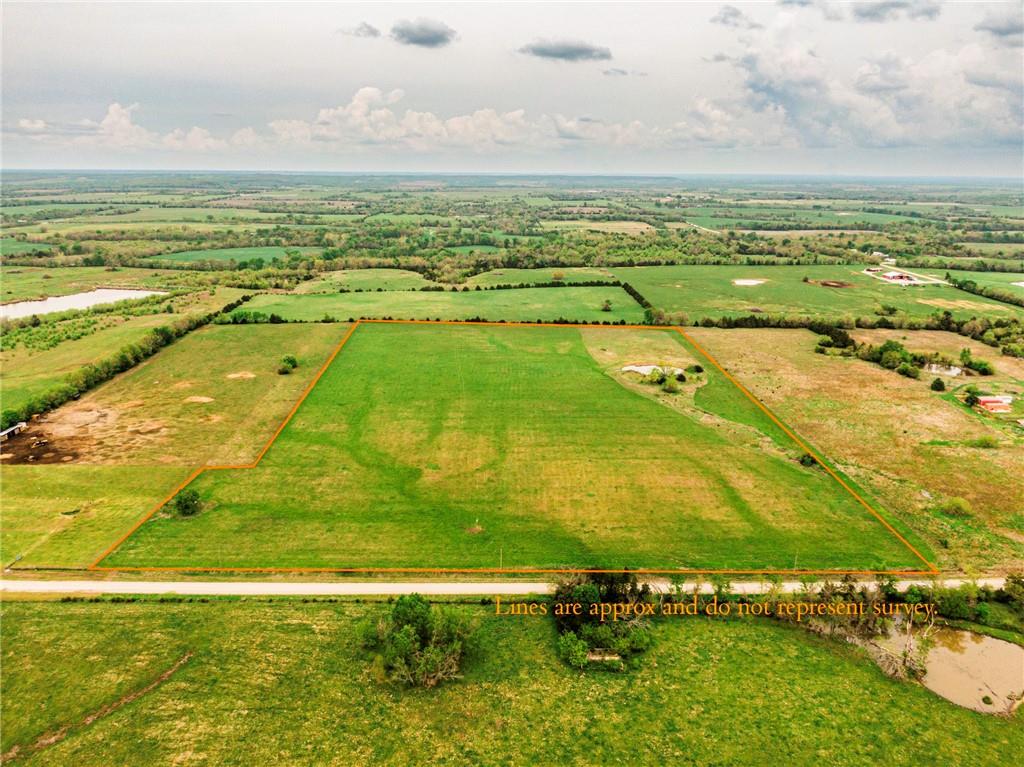 Listing Photo MLS #HMS2545856
