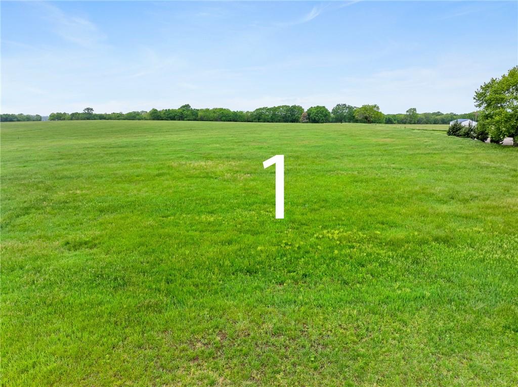 Listing Photo MLS #HMS2546584