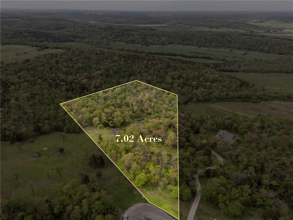 Listing Photo MLS #HMS2546828