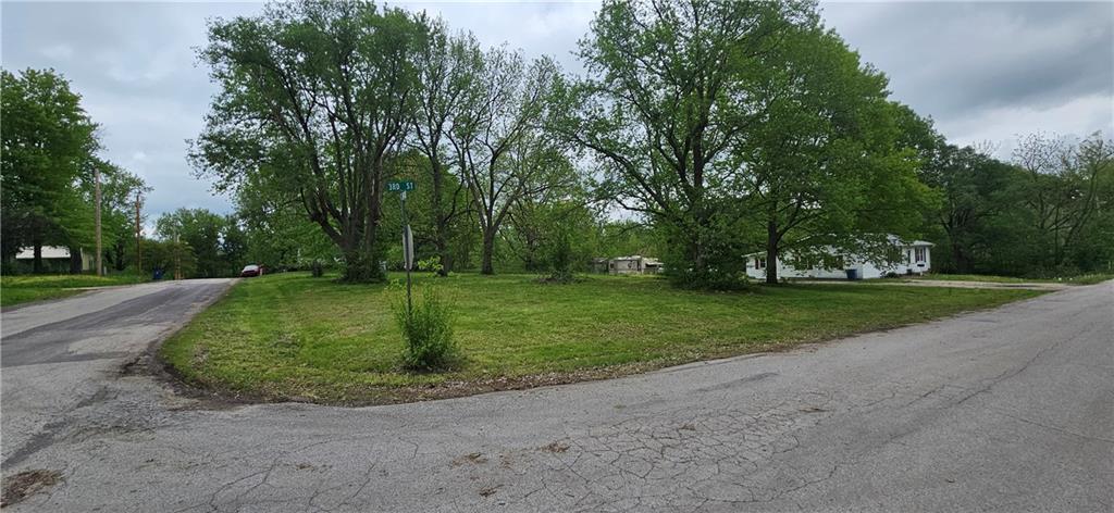 Listing Photo MLS #HMS2546942