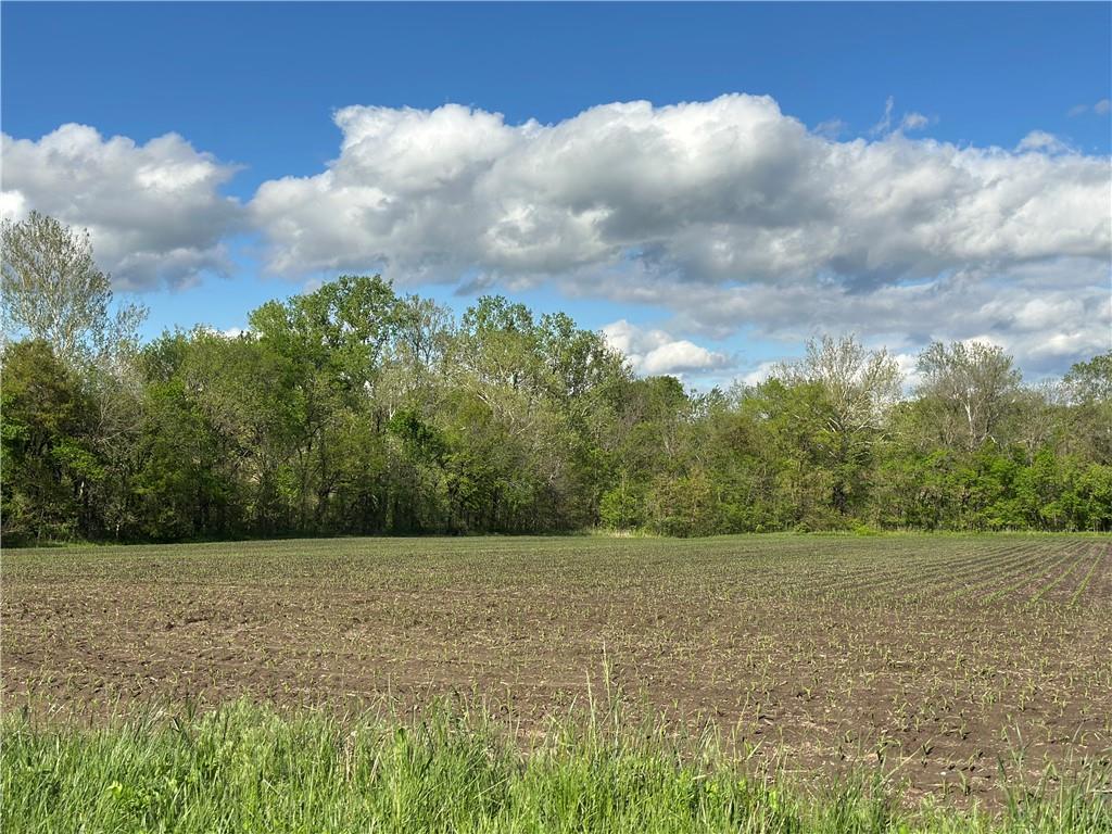 Listing Photo MLS #HMS2546943