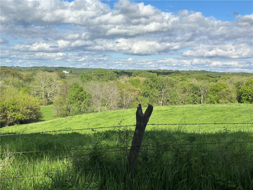 Listing Photo MLS #HMS2546960