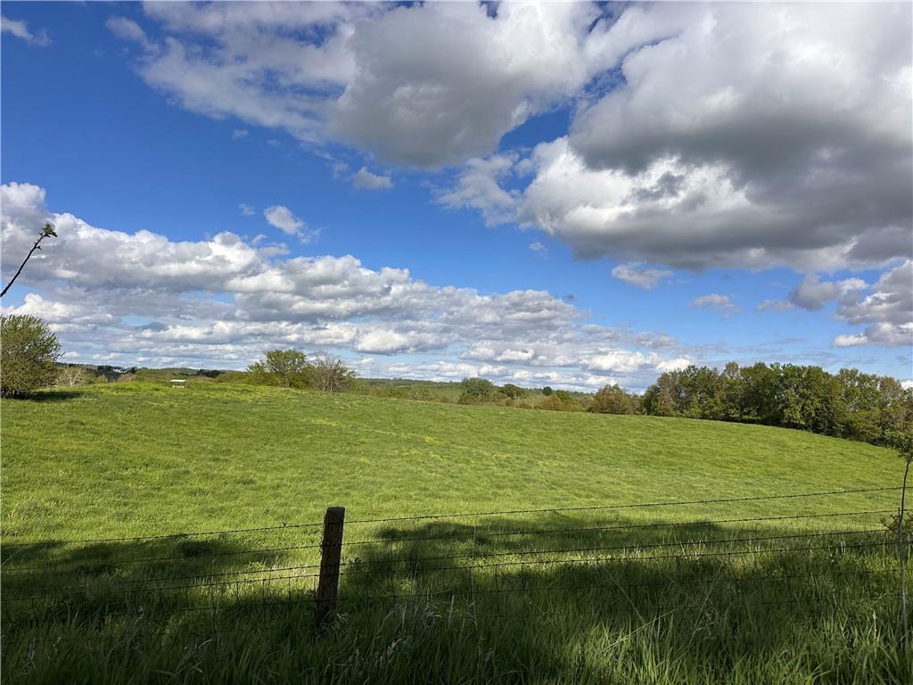 Listing Photo MLS #HMS2546964