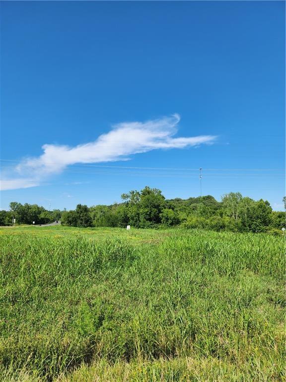 Listing Photo MLS #HMS2546994