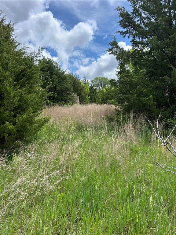 Listing Photo MLS #HMS2547235
