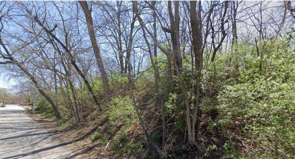 Listing Photo MLS #HMS2547386