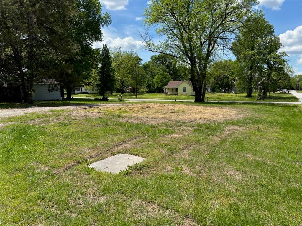 Listing Photo MLS #HMS2547669