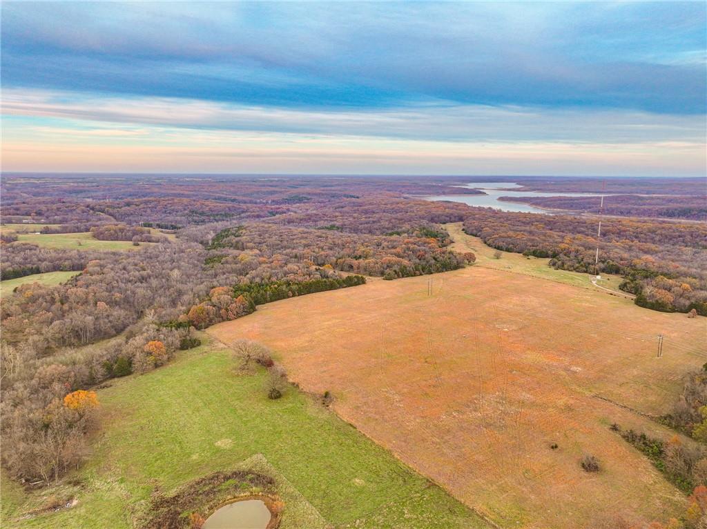 Listing Photo MLS #HMS2547845