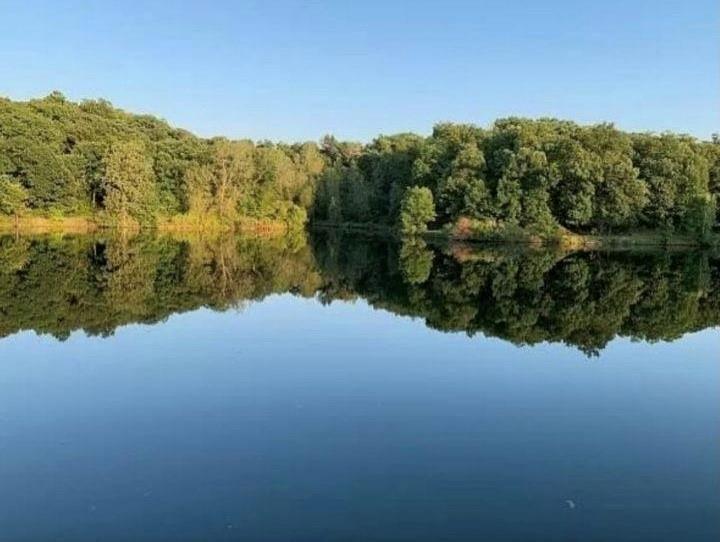 Listing Photo MLS #HMS2547944