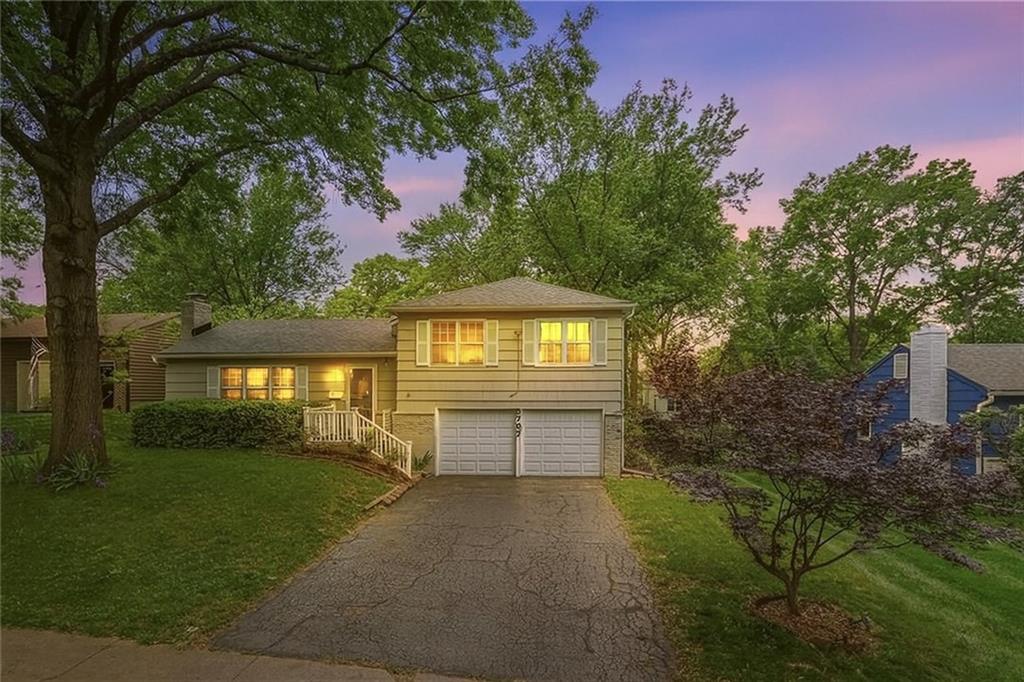 Listing Photo MLS #HMS2547949