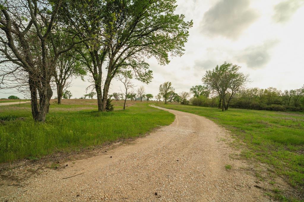 Listing Photo MLS #HMS2548039