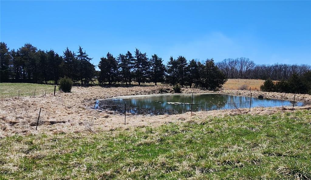 Listing Photo MLS #HMS2548266