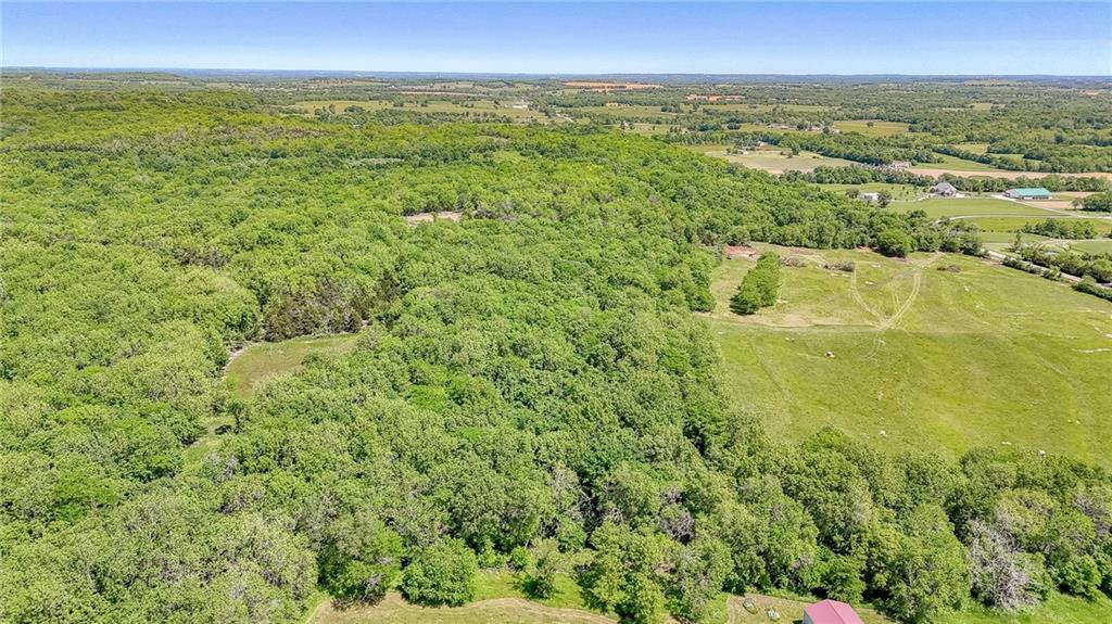 Listing Photo MLS #HMS2550443