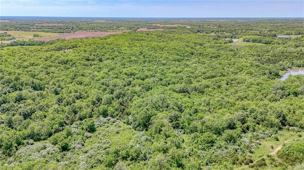 Listing Photo MLS #HMS2550444