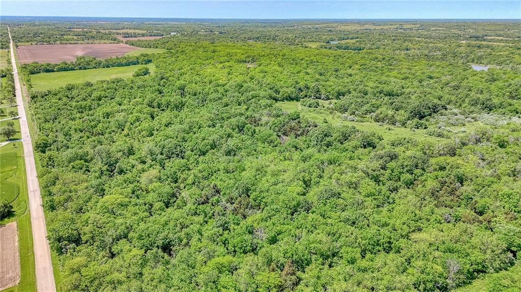 Listing Photo MLS #HMS2550448