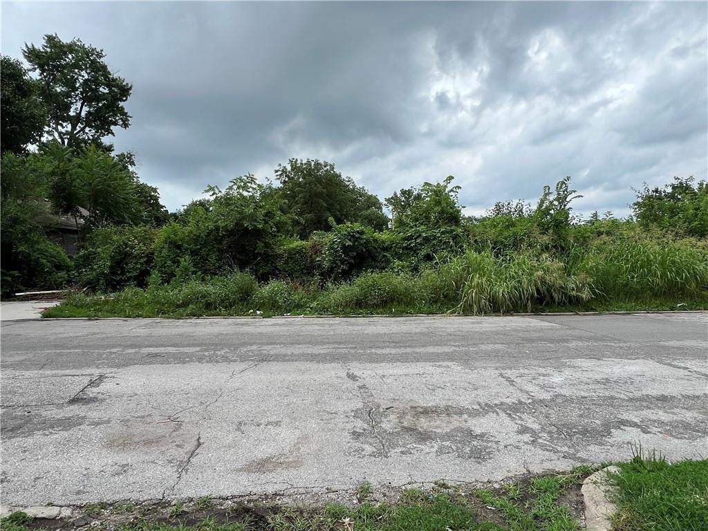 Listing Photo MLS #HMS2559413
