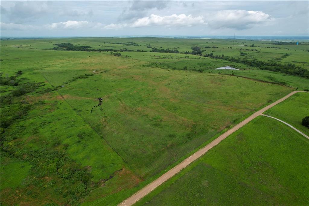 Listing Photo MLS #HMS2560074
