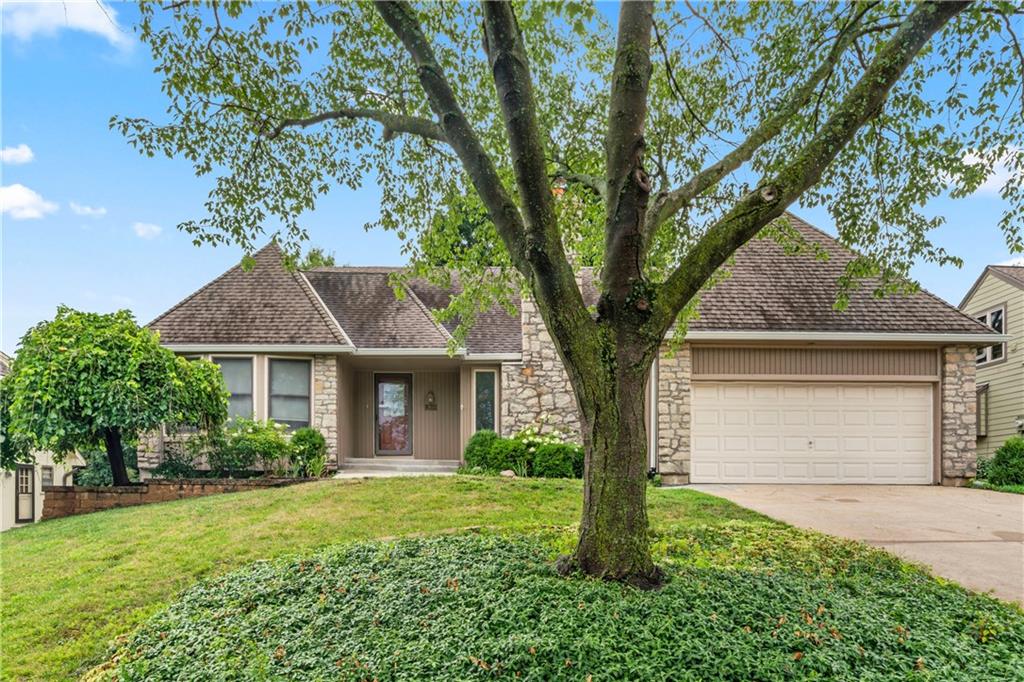 Listing Photo MLS #HMS2561324
