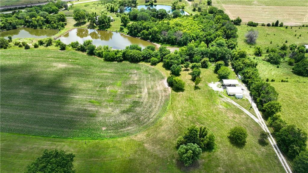 Listing Photo MLS #HMS2561651