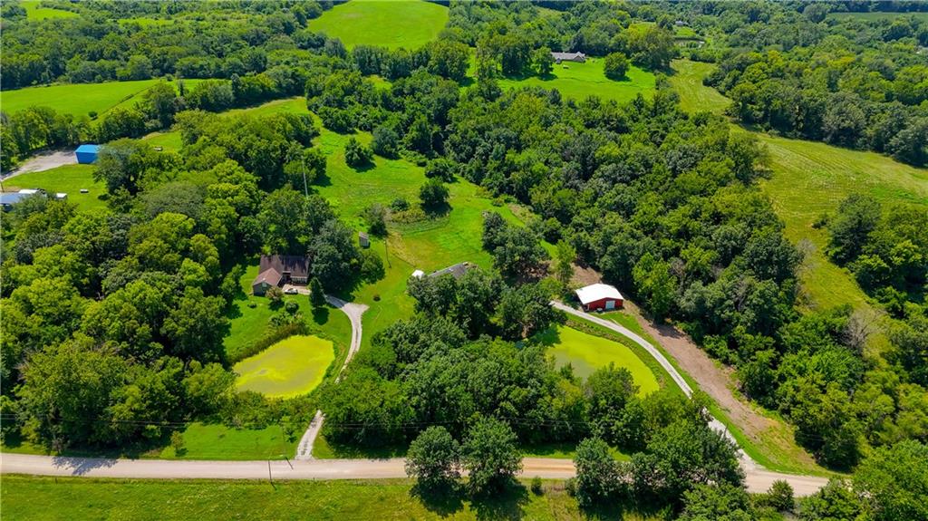 Listing Photo MLS #HMS2561767