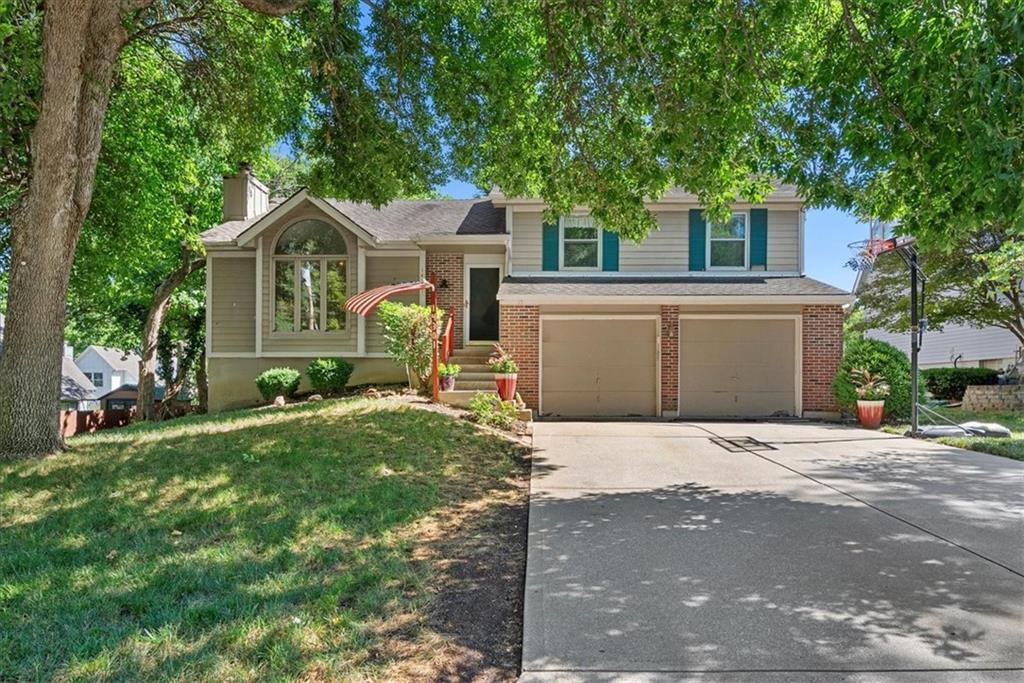 Listing Photo MLS #HMS2561887