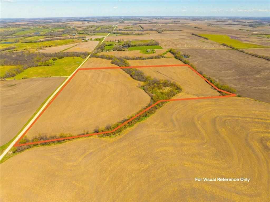 Listing Photo MLS #HMS2561990