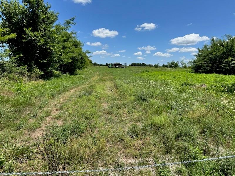 Listing Photo MLS #HMS2562223