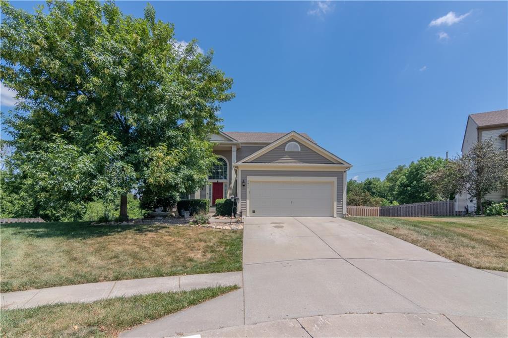 Listing Photo MLS #HMS2562787