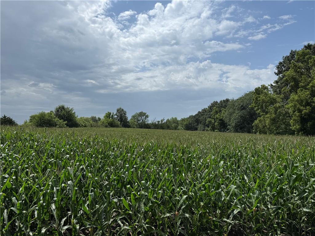 Listing Photo MLS #HMS2564025