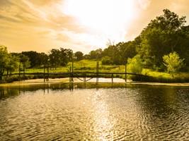 Listing Photo MLS #HMS2564304