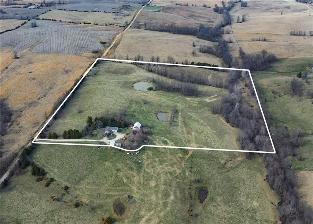 Listing Photo MLS #HMS2564728
