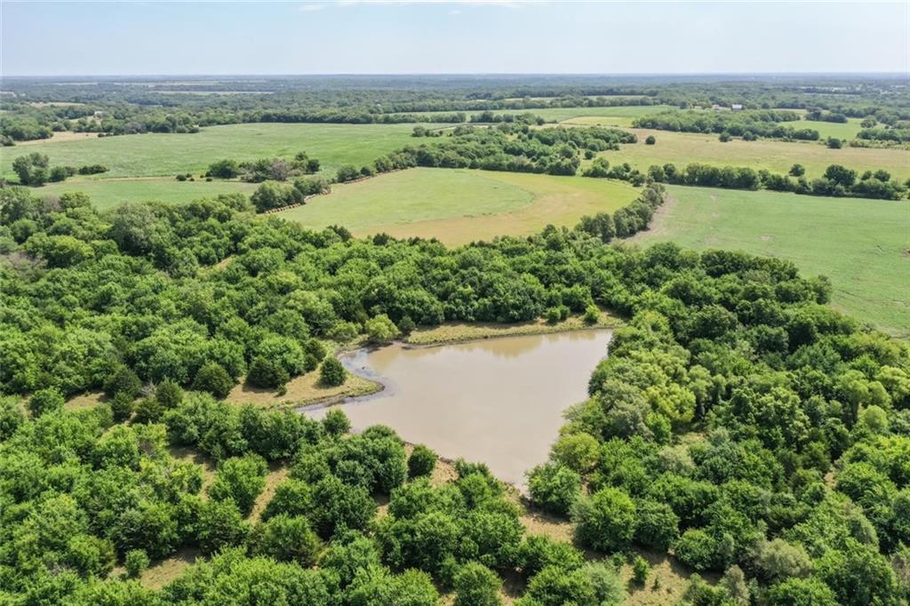 Listing Photo MLS #HMS2564767